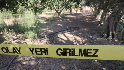 Narenciye bahçesinde satırlı dehşet