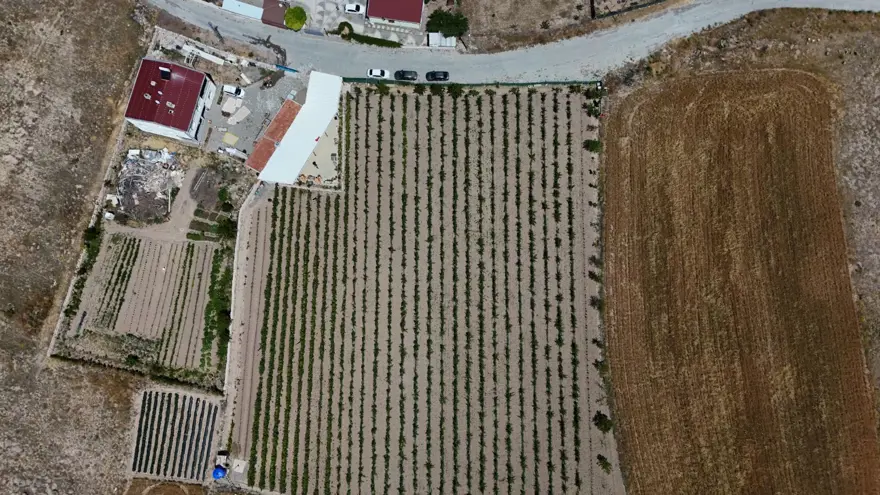 Hobi olarak başladığı işte talebe yetişemiyor 3
