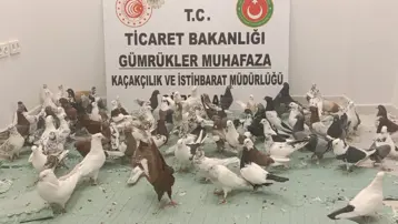 Sınırda "cancan" operasyonu