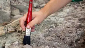 Afrika dışında insana ait en eski kanıt bulundu Afrika dışında insana ait en eski kanıt bulundu