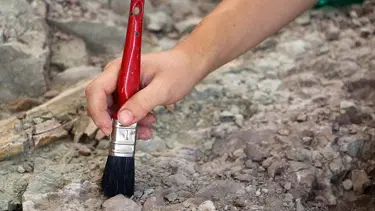 Afrika dışında insana ait en eski kanıt bulundu