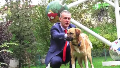 Büyükelçi komşum olur: Belçika