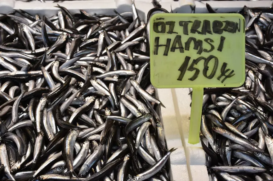 Kilosu 150 liradan satışta:  Taze taze tezgahta 2