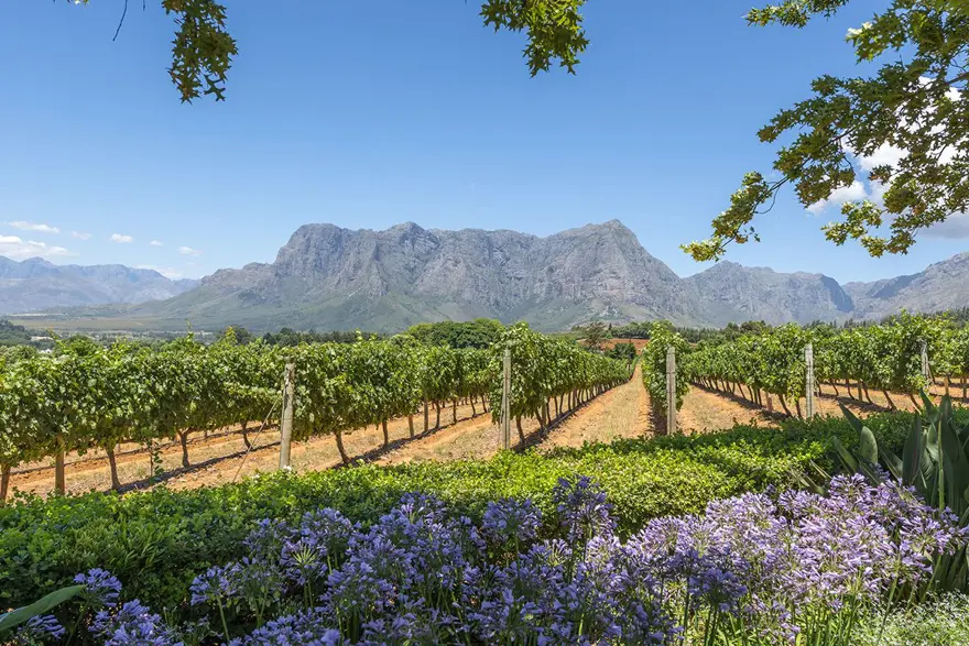 cape town rehberi, cape town gezi rehberi, cape town gezilecek yerler, cape town yapılacak şeyler, Afrika, Cape Town, Cape Town - Güney Afrika, Güney Afrika, Güney Afrika yolculukları 10 cape town rehberi, cape town gezi rehberi, cape town gezilecek yerler, cape town yapılacak şeyler, Afrika, Cape Town, Cape Town - Güney Afrika, Güney Afrika, Güney Afrika yolculukları 10