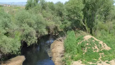 Tarım alanlarını besleyen Alaşehir Çayı siyaha büründü