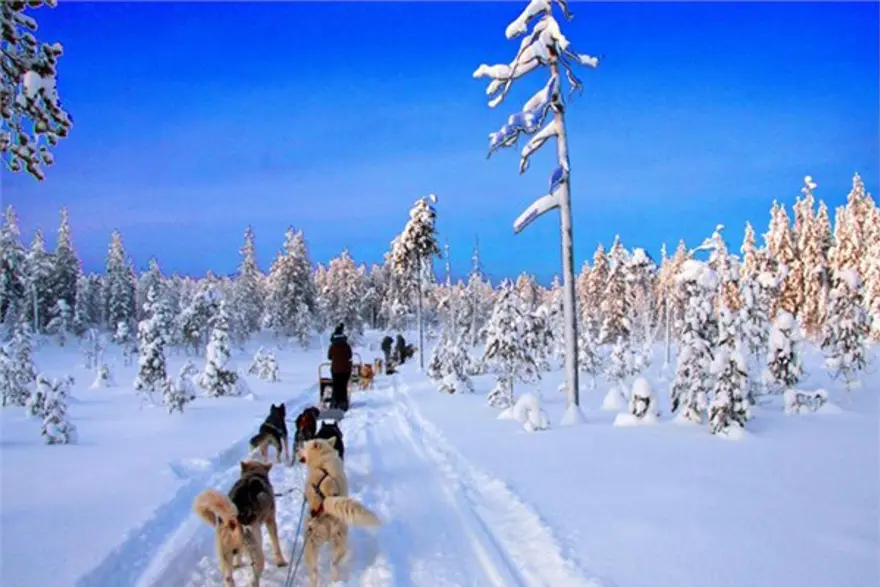 macera tatili, adrenalin turları, tatil önerisi, macera tutkunlarına tatil önerileri, köpek balıklarıyla yüzmek 25