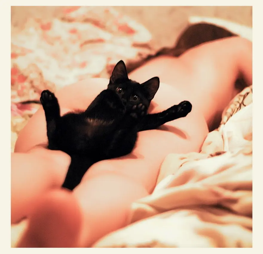 İnternetin yeni fenomenleri 108