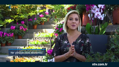 Çarşı Pazar Ekonomisi: Çiçek Ekonomisi (17 Ekim 2020)