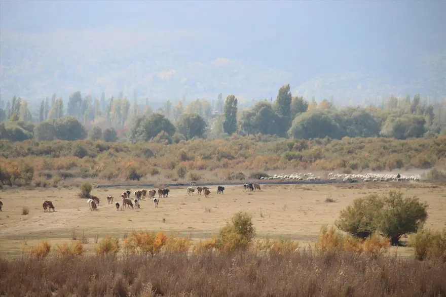 Tamamen kuruyan Akşehir Gölü'nün tabanında su bulundu Tamamen kuruyan Akşehir Gölü'nün tabanında su bulundu