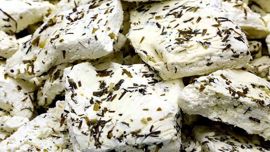Otlu peynir yapımı başladı
