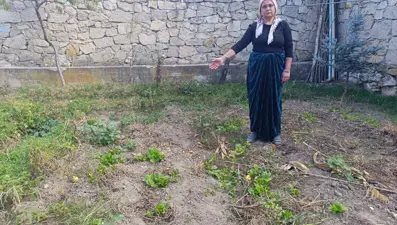 Bahçeye kimyasal döküp aile dostlarını zehirleyen kişiye 37 ay hapis cezası