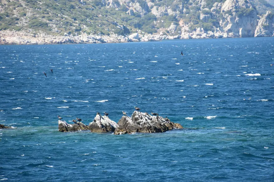Karaburun-Ildır Körfezi Özel Çevre Koruma Bölgesi 19 Karaburun-Ildır Körfezi Özel Çevre Koruma Bölgesi 19