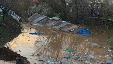 Bingöl'ü sağanak vurdu: Ahırlar sular altında kaldı