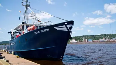 Arızalı gemide yeni yaşam formu keşfedildi: Oksijensiz hayatta kalıyor