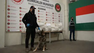Kapıkule'de uyuşturucu operasyonu! 113 kilo esrar ele geçirildi