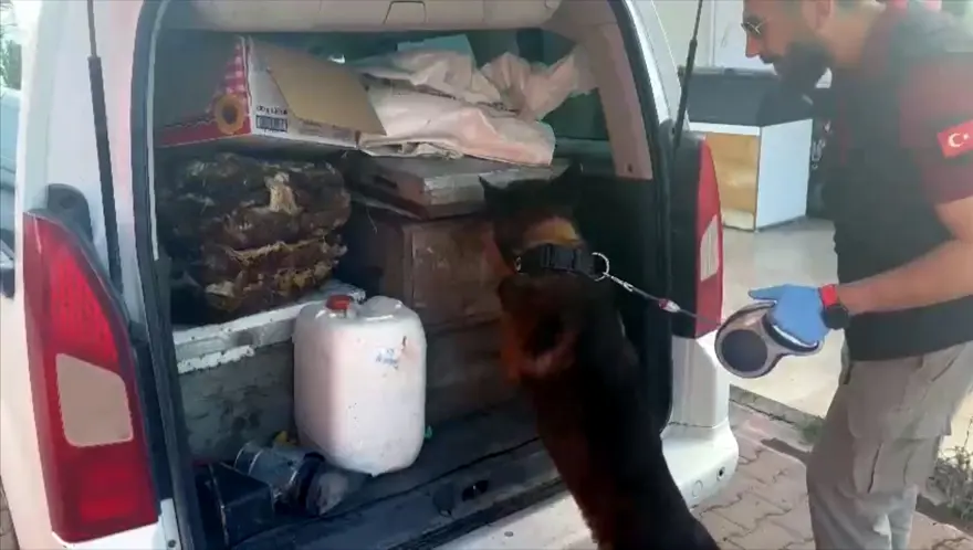 “Kraliçe arı taşıyoruz” dedi, kovanların içinden uyuşturucuçıktı 