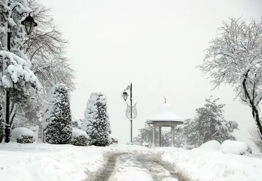 200'DEN FAZLA AĞAÇ DEVRİLDİ 2