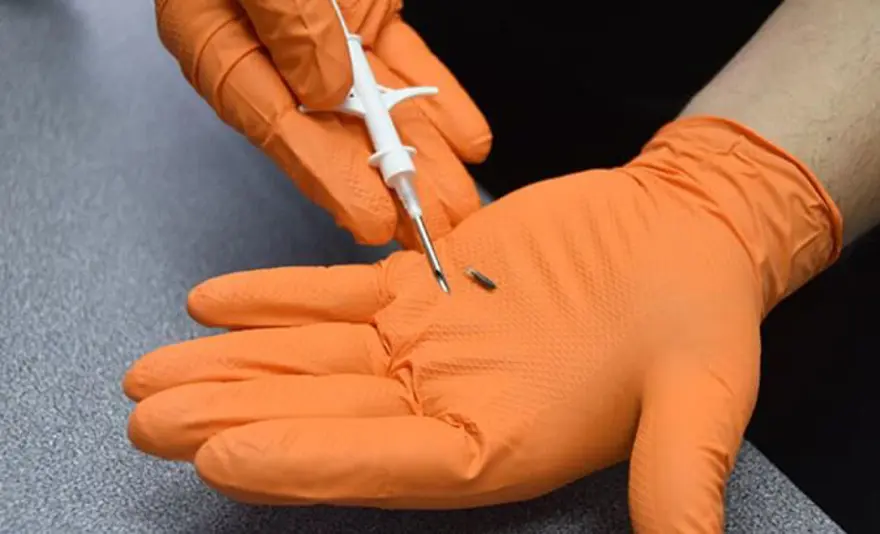 15. SORU: Sokakta ev hayvanı bulan kişi ne yapmalı? 14 15. SORU: Sokakta ev hayvanı bulan kişi ne yapmalı? 14