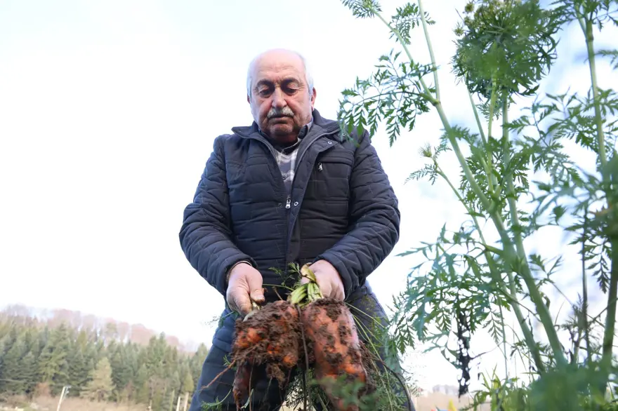 "AYNI YAZ DOMATESİ GİBİ KOKUYOR" 2