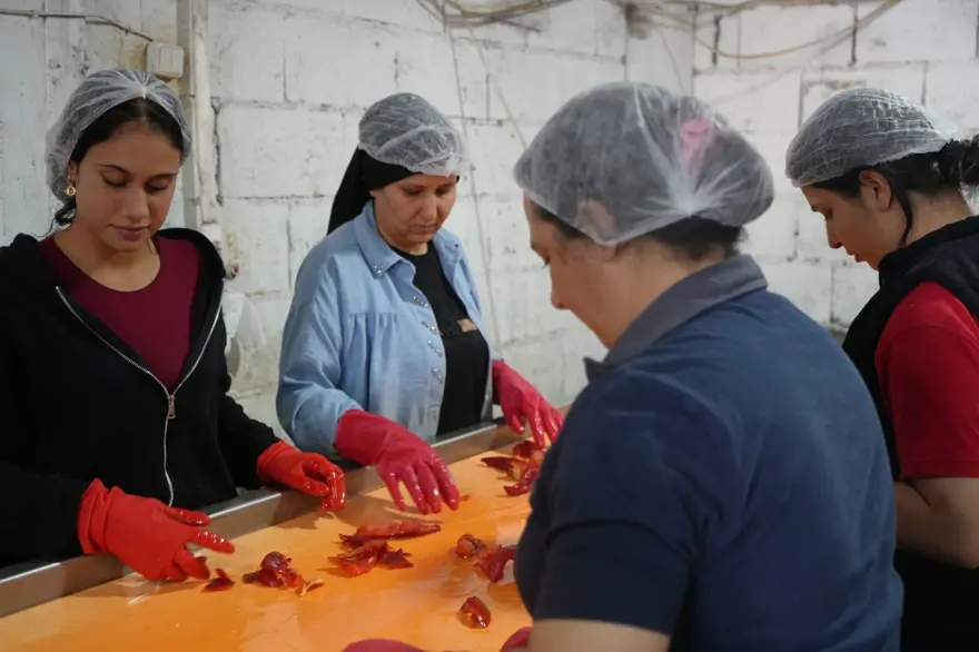 Gaziantep'te "acı" mesaisi: Türkiye'nin dört bir yanına gönderiliyor 3 Gaziantep'te "acı" mesaisi: Türkiye'nin dört bir yanına gönderiliyor 3