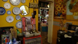 Paris'teki hayatını bıraktı, Bursa'ya döndü: Eşyaları kolilerden çıkarıp kurdu