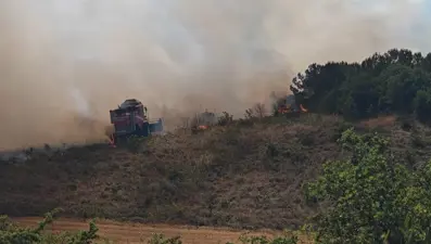 Bursa ve Balıkesir'de orman yangınları