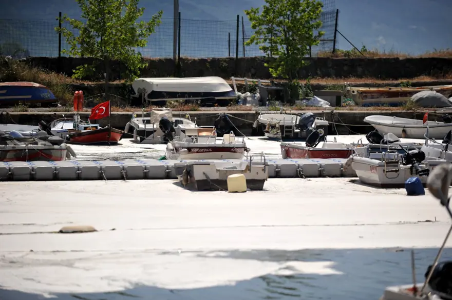 Çınarcık sahilini kaplayan deniz salyası, rüzgarla dağıldı 4