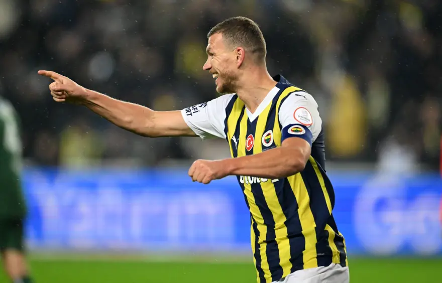 2 - Edin Dzeko (Fenerbahçe) 21 gol 10