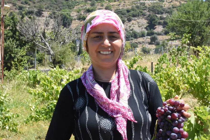 Aroması yüksek, büyük taneli ve susuz yetişiyor! Coğrafi işaretli, 20 gün erken hasat edilecek 6