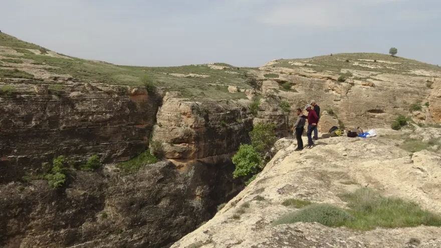 &quot;Yılan otu&quot; olarak da biliniyor, ölüme meydan okuyup topluyorlar: Hastalıkların şifası bitki 1