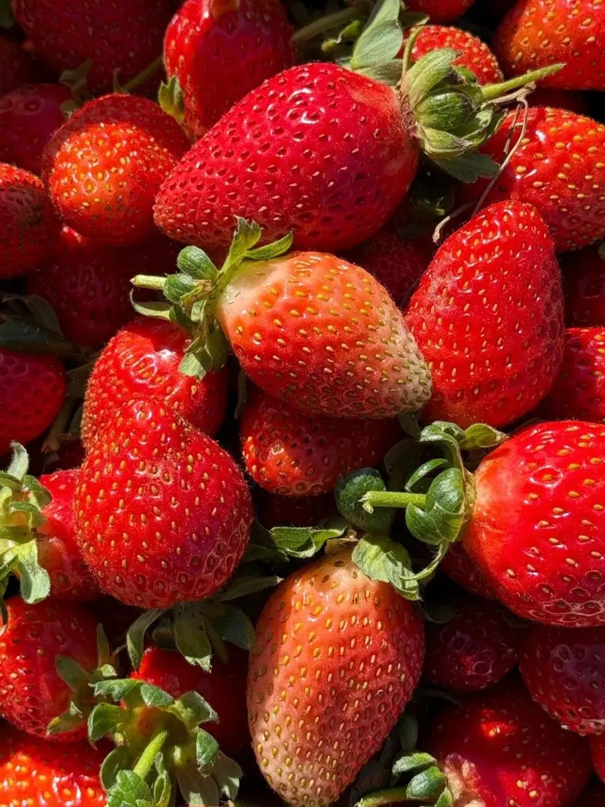 "Bu işe giren pişman olmaz": Üretimi yaygınlaştı 1