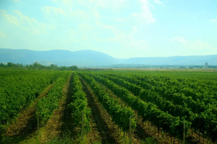 Bosna hâlâ savaşı yaşıyor 11