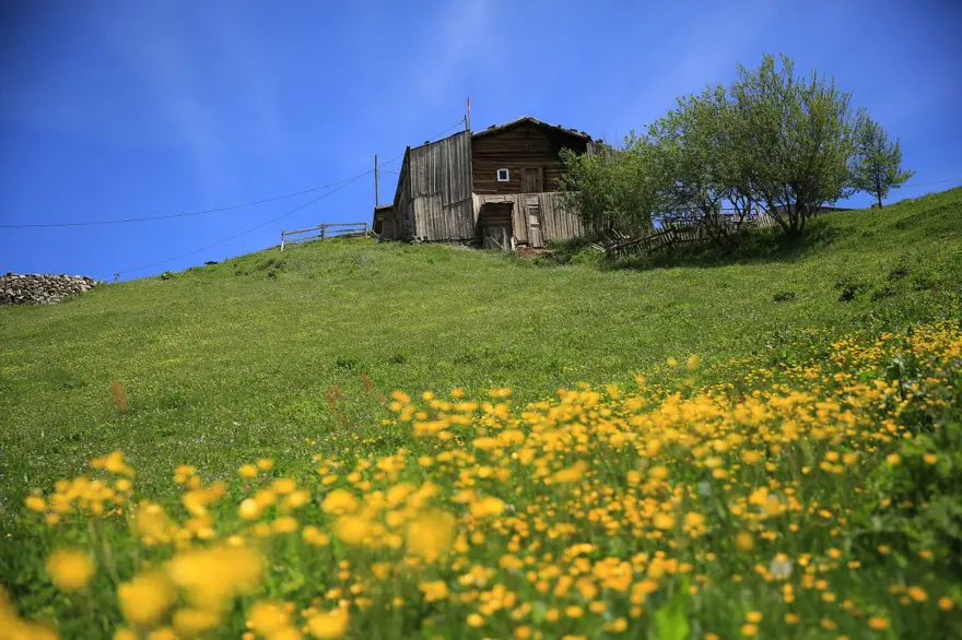 Rize'de bulutların üzerindeki yeşil cennet: İkizdere Vadisi 5