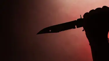 Anneannesini bıçaklayarak öldürdü