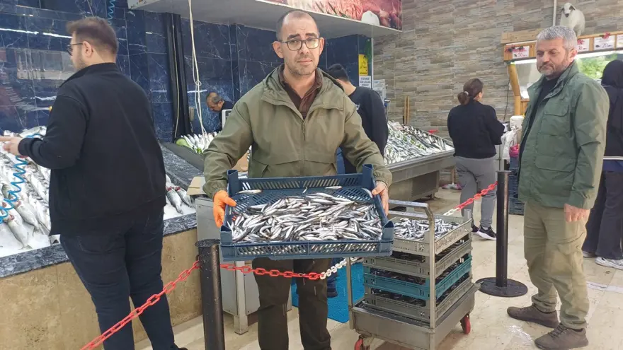 "HAMSİ BU SENE VATANDAŞIN YÜZÜNÜ GÜLDÜRECEK" 3