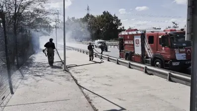 Metris Cezaevi yanında otluk alan yandı