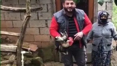 Trabzon&#x27;da &#x27;anne&#x27; diyen horoz