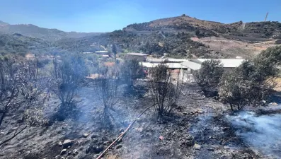 Antakya’da bahçe yangını