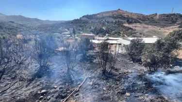 Antakya’da bahçe yangını