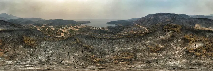 Bodrum ve Milas'ta yanan alanlar havadan görüntülendi 34 Bodrum ve Milas'ta yanan alanlar havadan görüntülendi 34