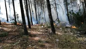 Kaş ve Erdek'teki orman yangınları kontrol altına alındı Kaş ve Erdek'teki orman yangınları kontrol altına alındı