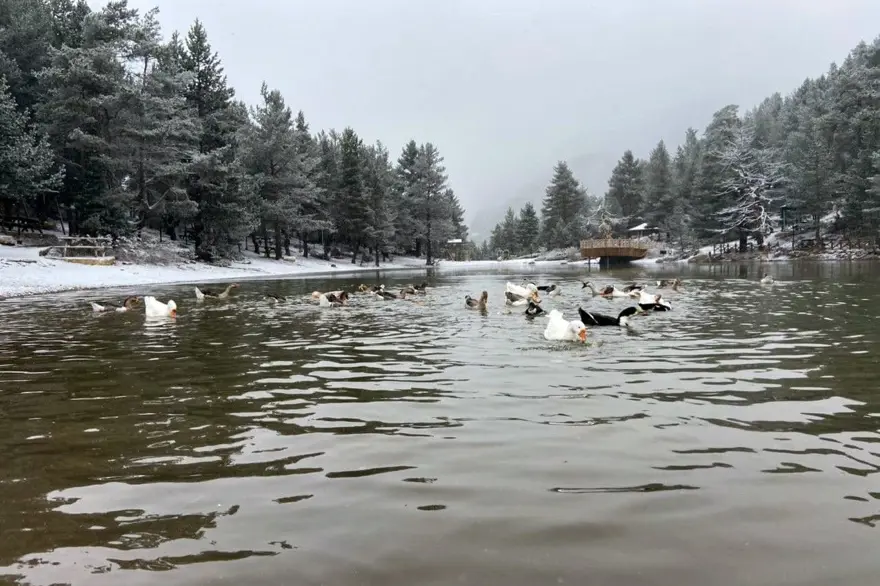 Gümüşhane'nin beyaz cenneti: Limni Gölü 4