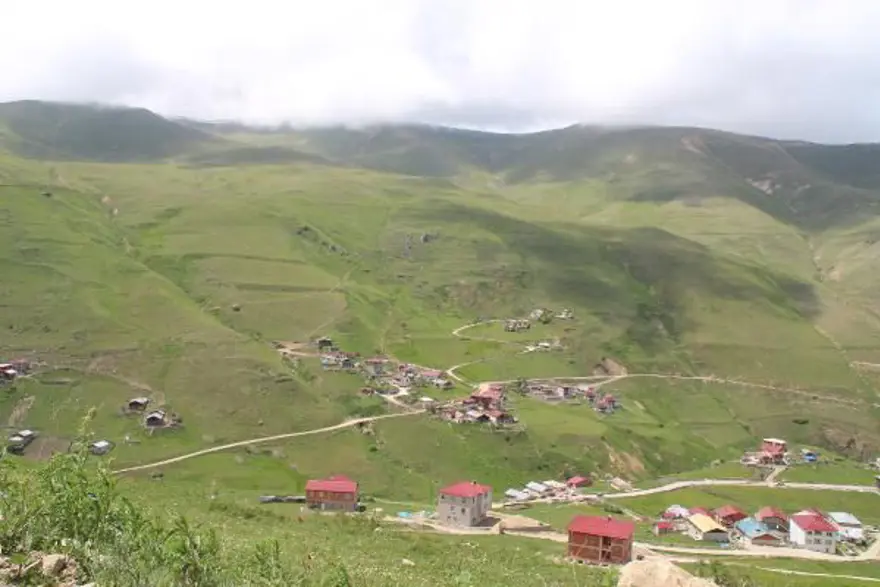 Anzer balında üretim sezonu açıldı 5