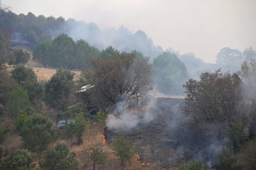 Çanakkale'de orman yangını kontrol altında 3