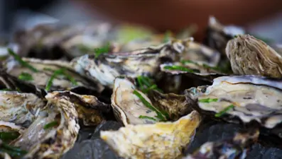 B12 değerini zirveye çıkaran besin: Beyni geliştirip, hafızayı güçlendiriyor