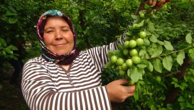 Kilosu 8 bin TL'den satılıyordu: Fiyatı 400 TL'ye kadar düştü