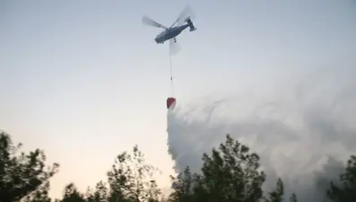 Aydın'da orman yangını