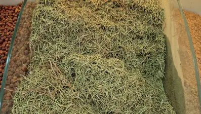 Ölüme kadar götürüyor: Yaz ayları gelince internette satışı arttı