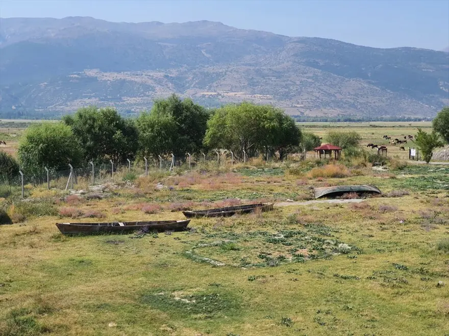 Konya'daki araştırmaya göre, vahşi sulama Akşehir ve Eber göllerini yok edebilir 1