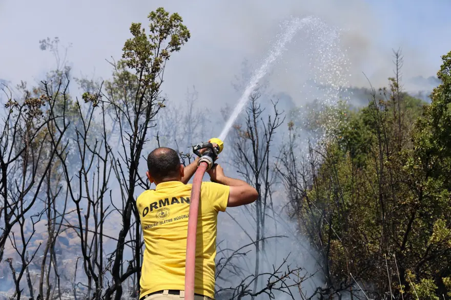 Kahramanmaraş'ta orman yangını 6